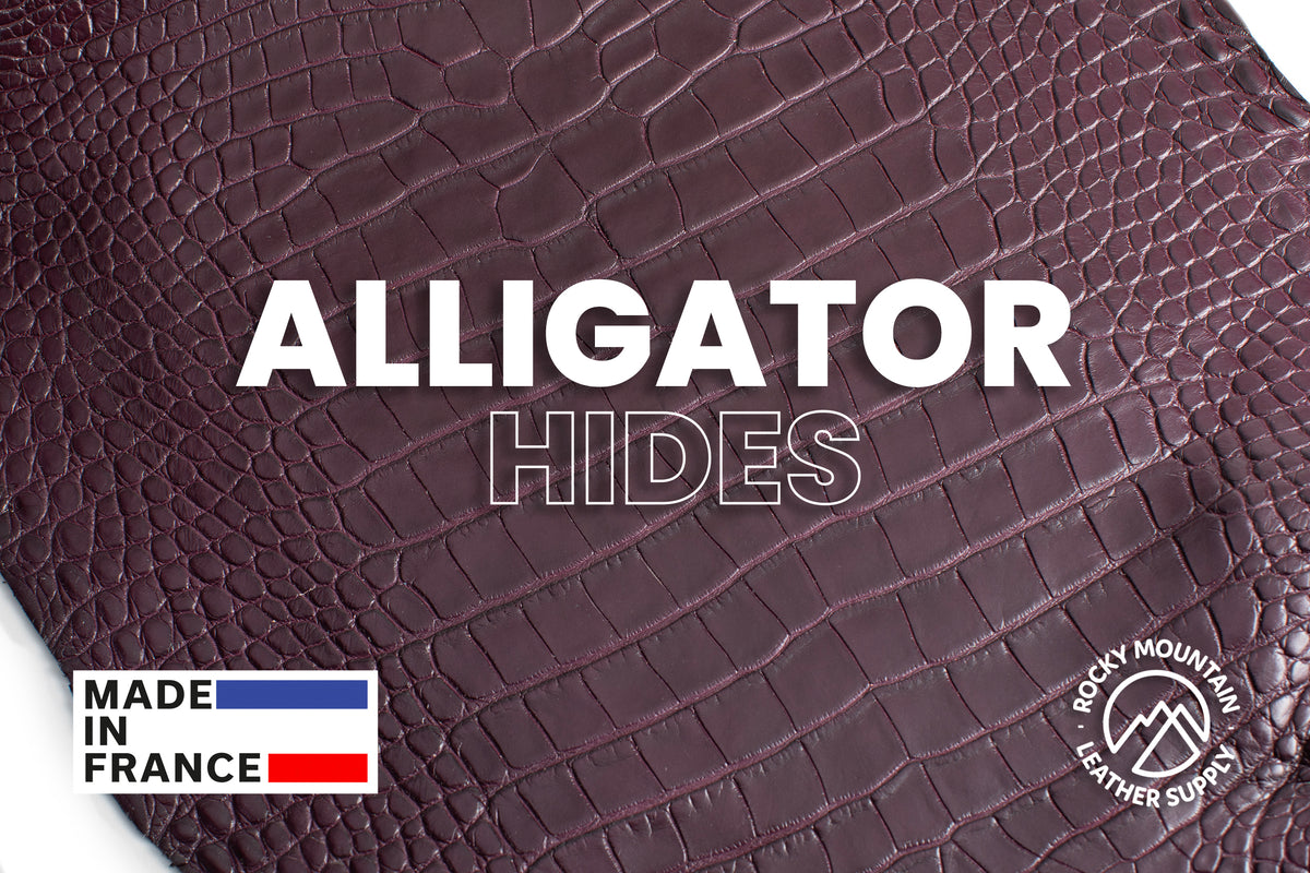 American Alligator - Luxury Skins - Matte Aubergine - (HIDES) 50% OFF!