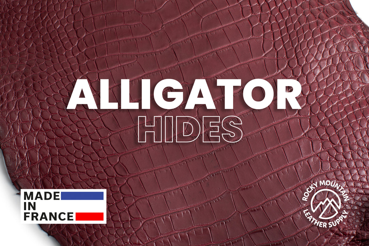 American Alligator - Luxury Skins - Matte Bordeaux - (HIDES) 50% OFF!