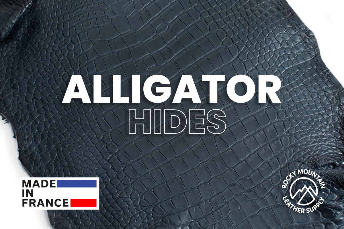 American Alligator - Luxury Skins - Matte Ocean - (HIDES) 50% OFF!
