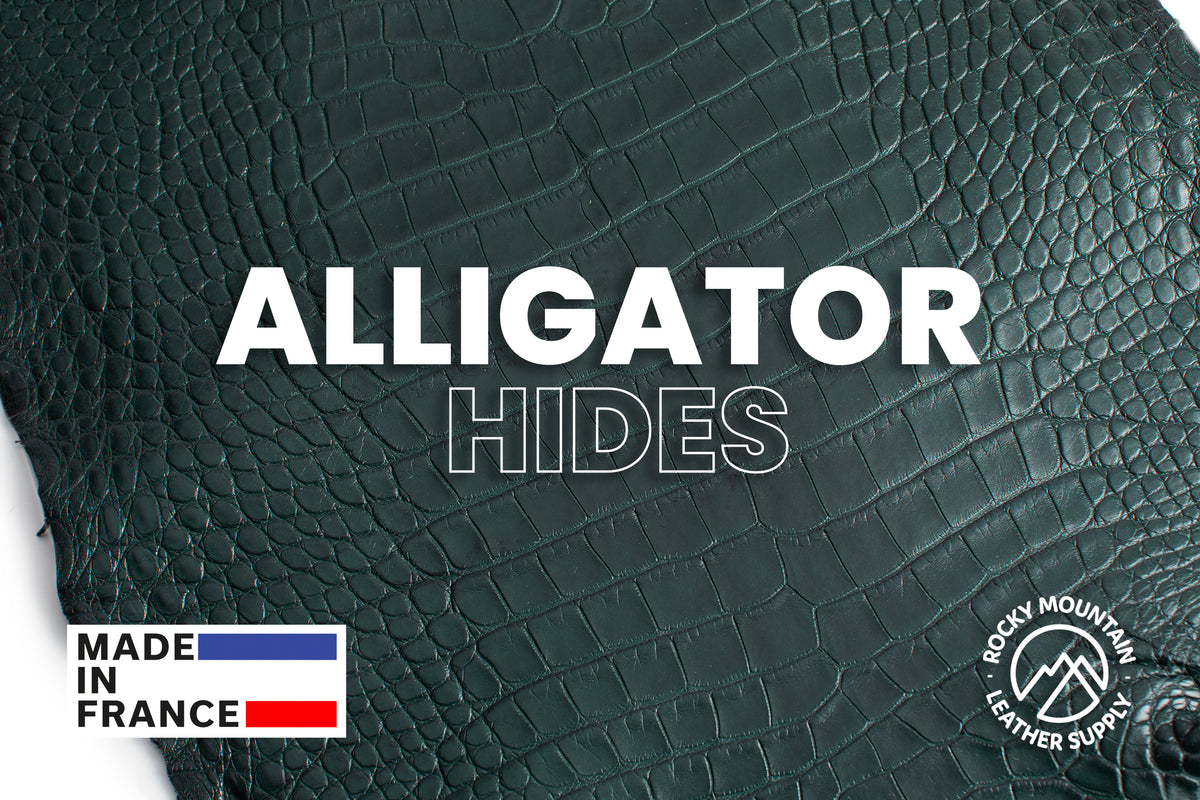 American Alligator - Luxury Skins - Matte Pine Green - (HIDES) 50% OFF!