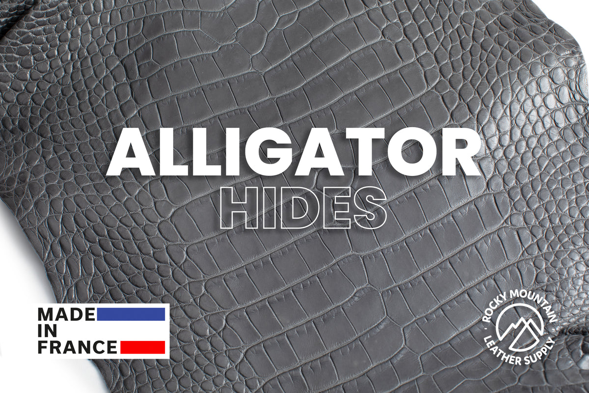 American Alligator - Luxury Skins - Matte Steel Gray - (HIDES) 50% OFF!