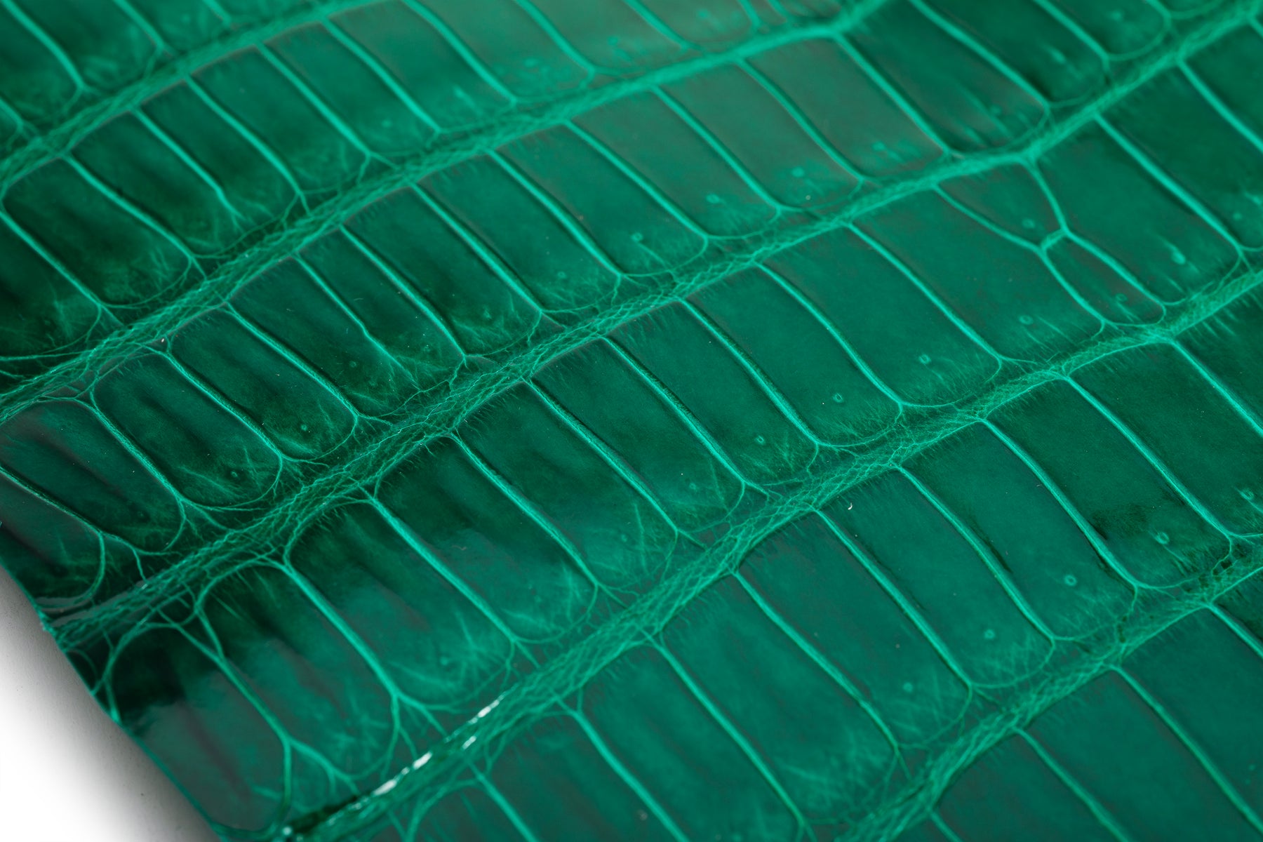 Porosus Crocodile Tails - Luxury Skins (Glazed Violet) 40% OFF!