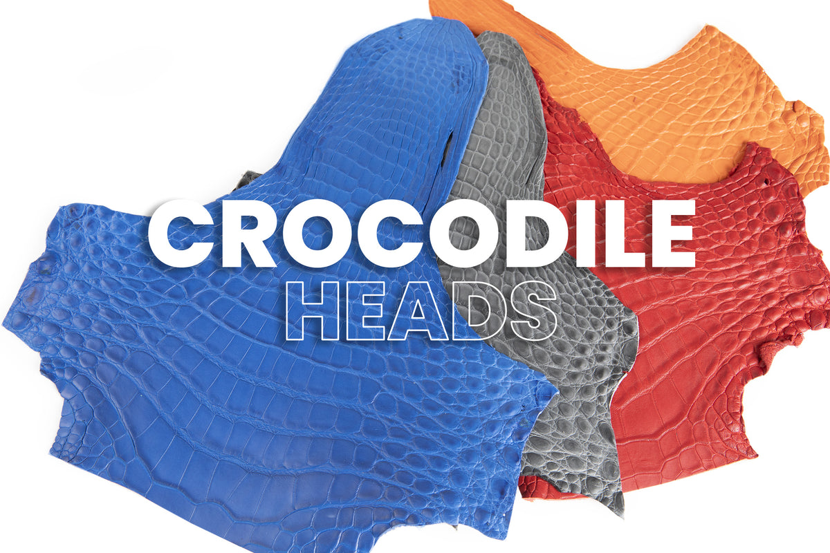 Porosus Crocodile - Large Heads - 50% OFF