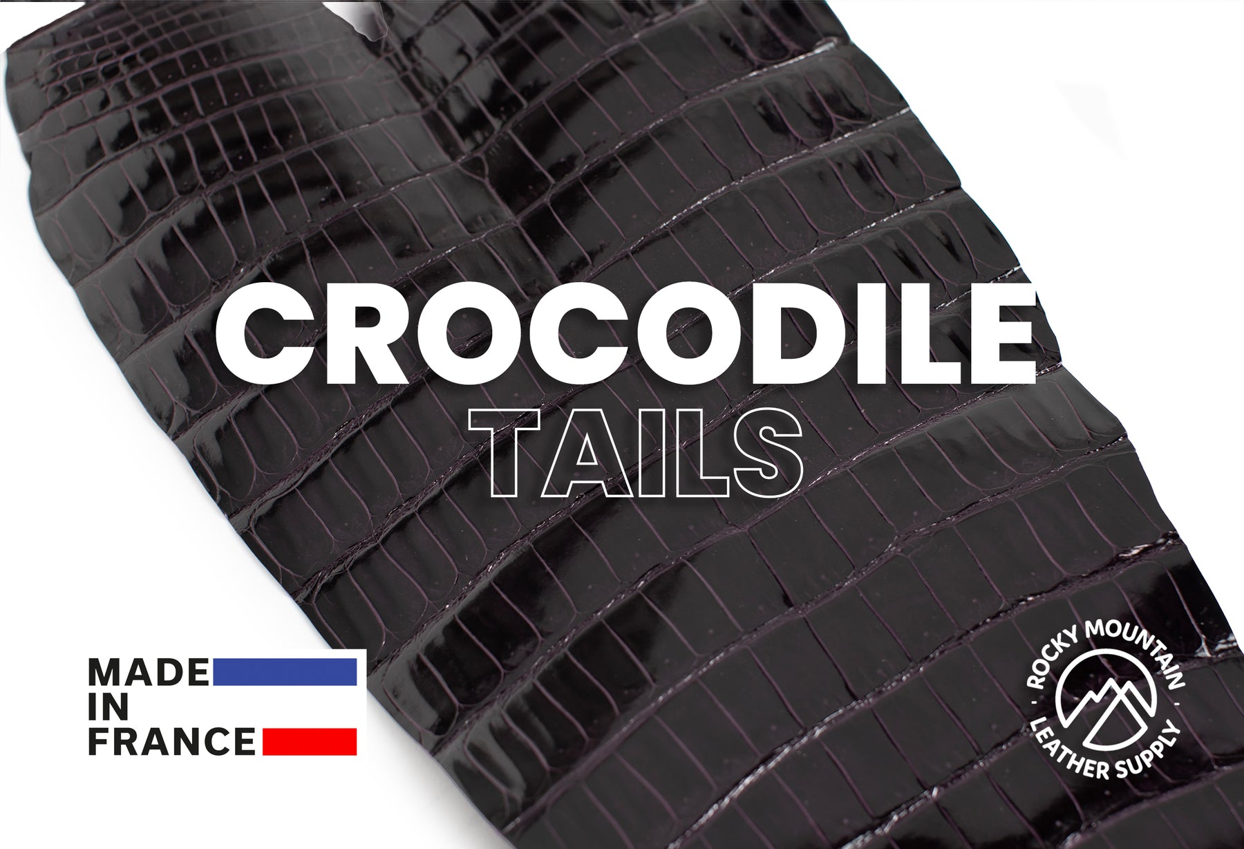 Porosus Crocodile Tails - Luxury Skins (Glazed Amethyste) 40% OFF!