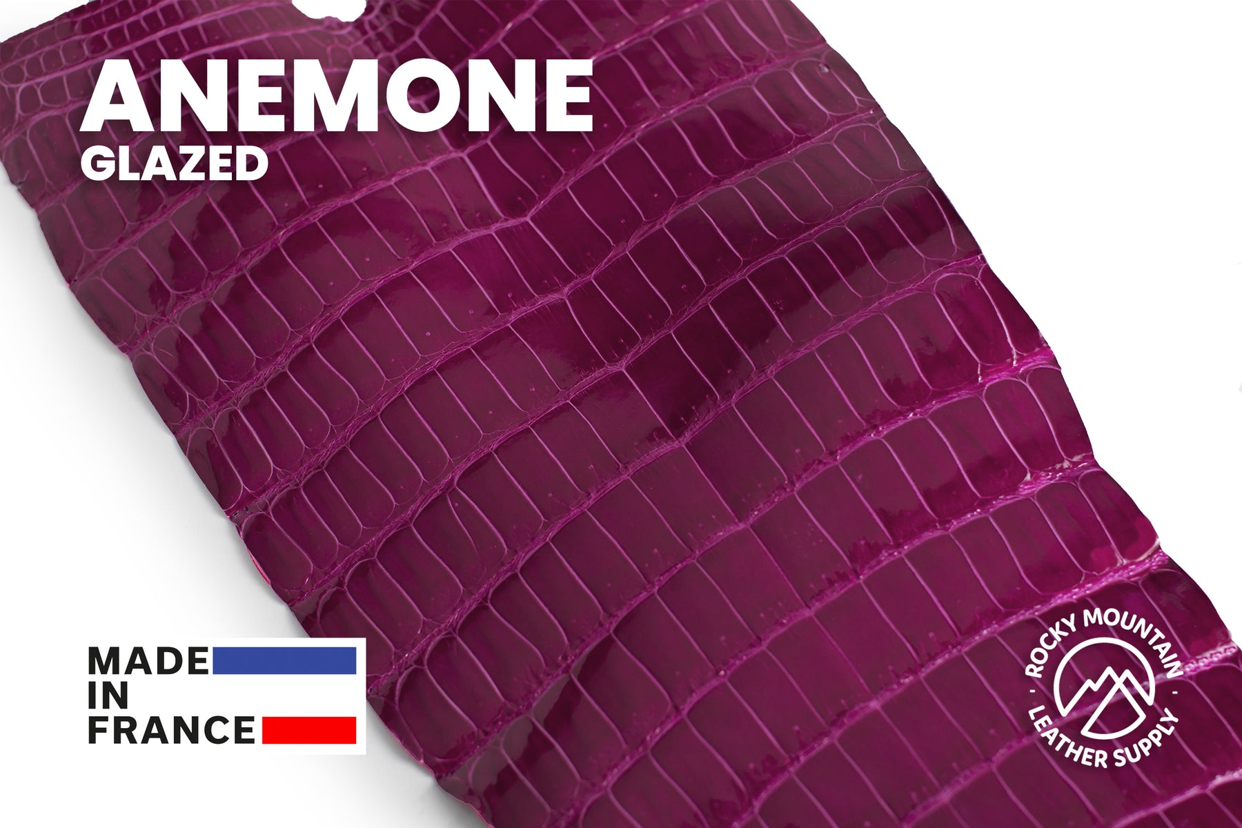 Porosus Crocodile Tails - Luxury Skins (Glazed Anemone) 40% OFF!