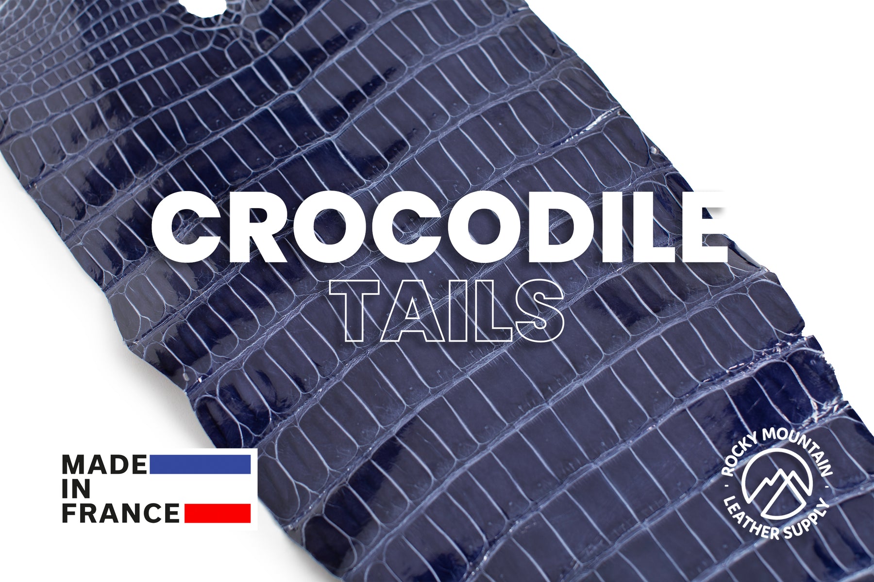 Porosus Crocodile Tails - Luxury Skins (Glazed Berry) 40% OFF!