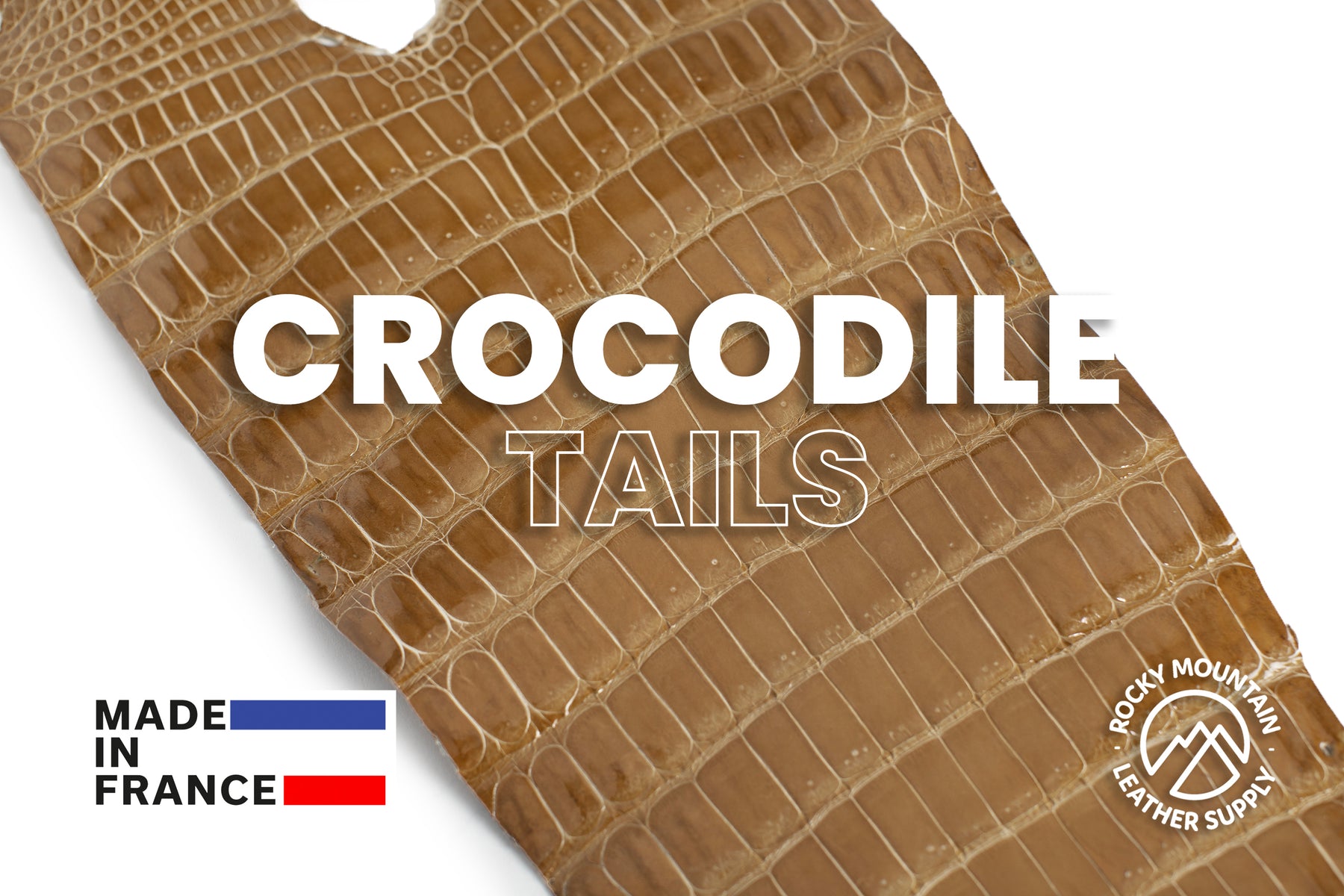 Porosus Crocodile Tails - Luxury Skins (Glazed Biscuit) 40% OFF!