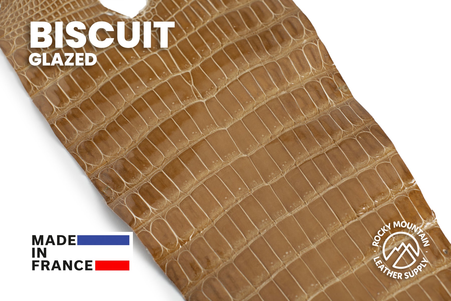 Porosus Crocodile Tails - Luxury Skins (Glazed Biscuit) 40% OFF!