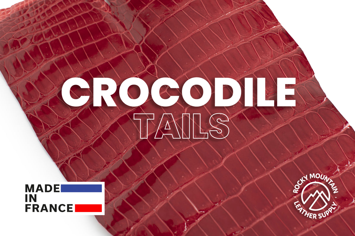 Porosus Crocodile Tails - Luxury Skins (Glazed Casaque) 40% OFF!