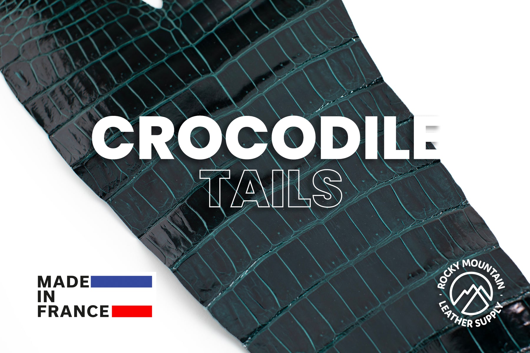 Porosus Crocodile Tails - Luxury Skins (Glazed Cypress) 40% OFF!