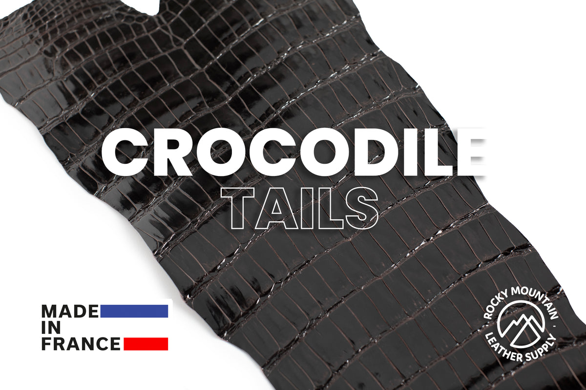 Porosus Crocodile Tails - Luxury Skins (Glazed Ebene) 40% OFF!
