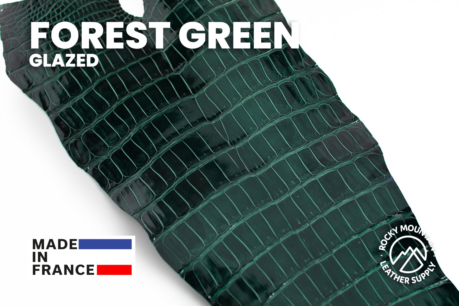 Porosus Crocodile Tails - Luxury Skins (Glazed Forest Green) 40% OFF!