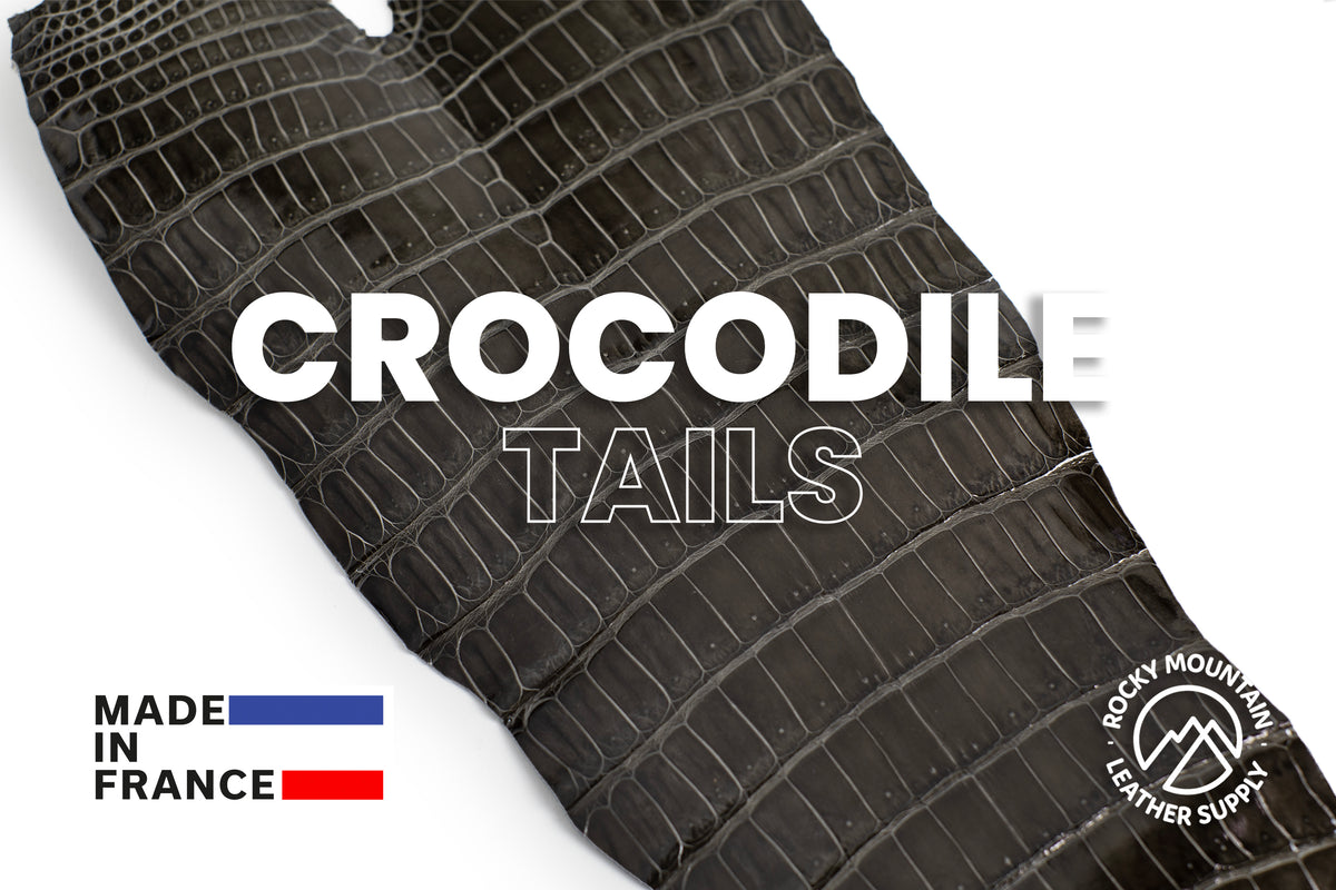 Porosus Crocodile Tails - Luxury Skins (Glazed Macassar) 40% OFF!