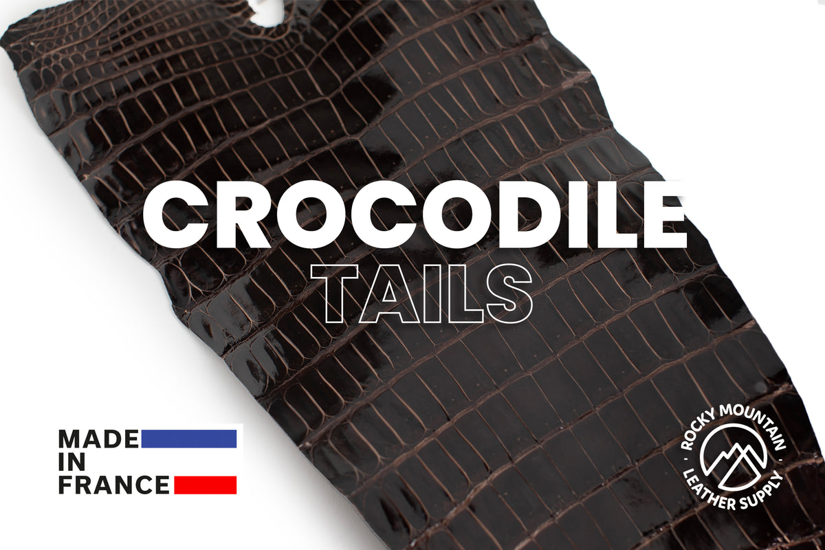 Porosus Crocodile Tails - Luxury Skins (Glazed Mocha) 40% OFF!