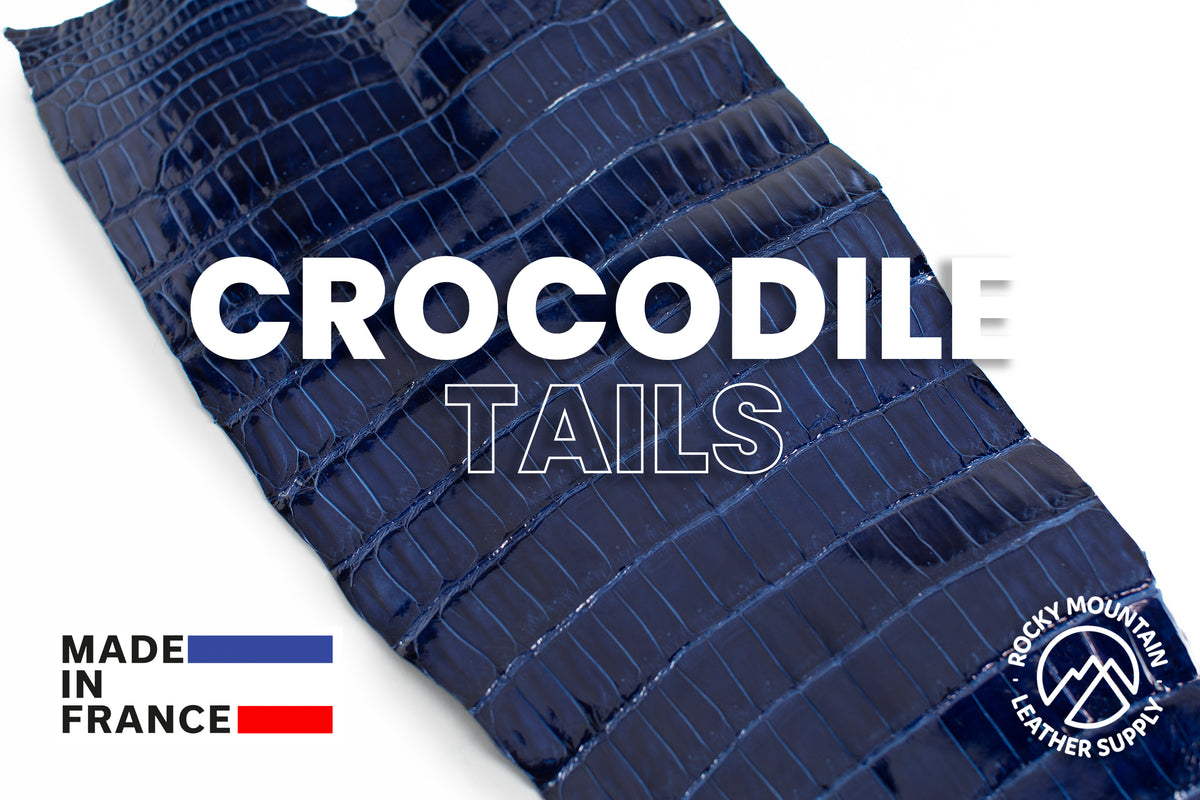 Porosus Crocodile Tails - Luxury Skins (Glazed Sapphire) 40% OFF!