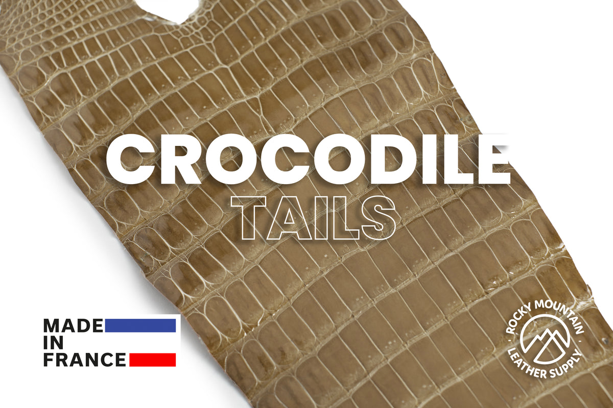 Porosus Crocodile Tails - Luxury Skins (Glazed Trench) 40% OFF!