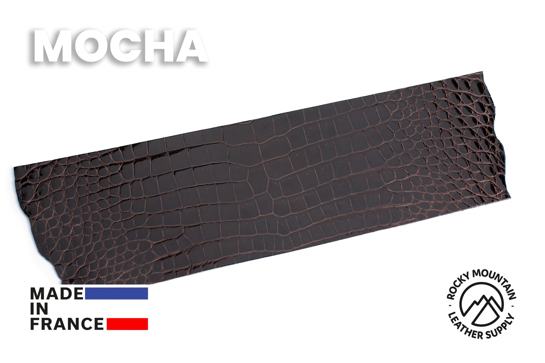 Porosus Crocodile - Glazed - Luxury Skins (PANELS)