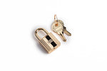 Venus - Luxury Lock (Stainless Steel)