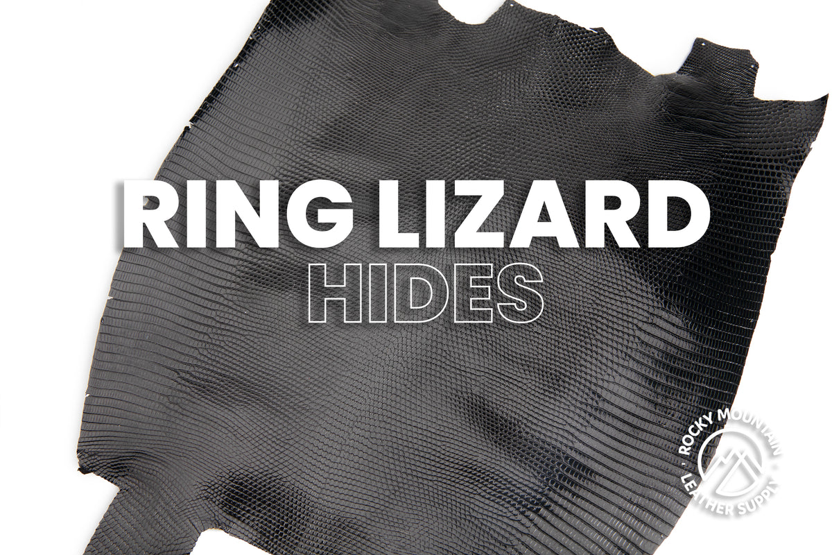 Ring Lizard - Shiny Black - Front Cut - Exotic Leather (HIDES)