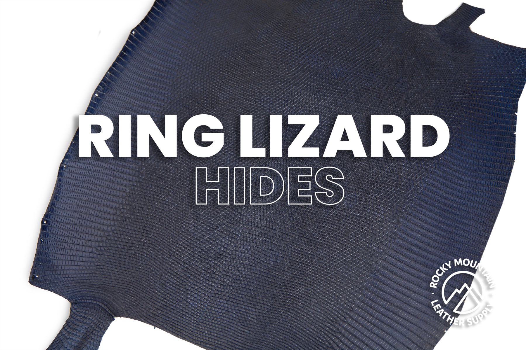 Ring Lizard - Matte Navy - Front Cut - Exotic Leather (HIDES)