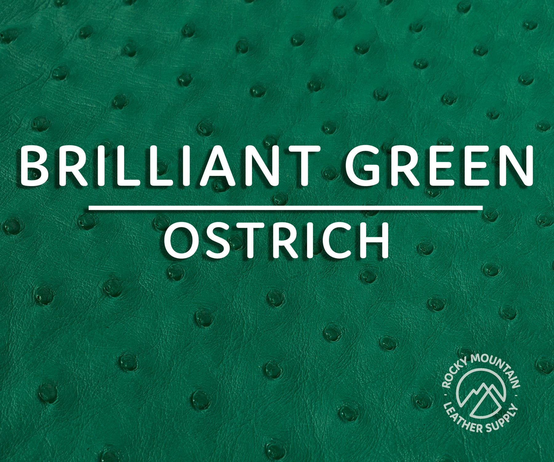 Ostrich Skin Matte Brilliant Green