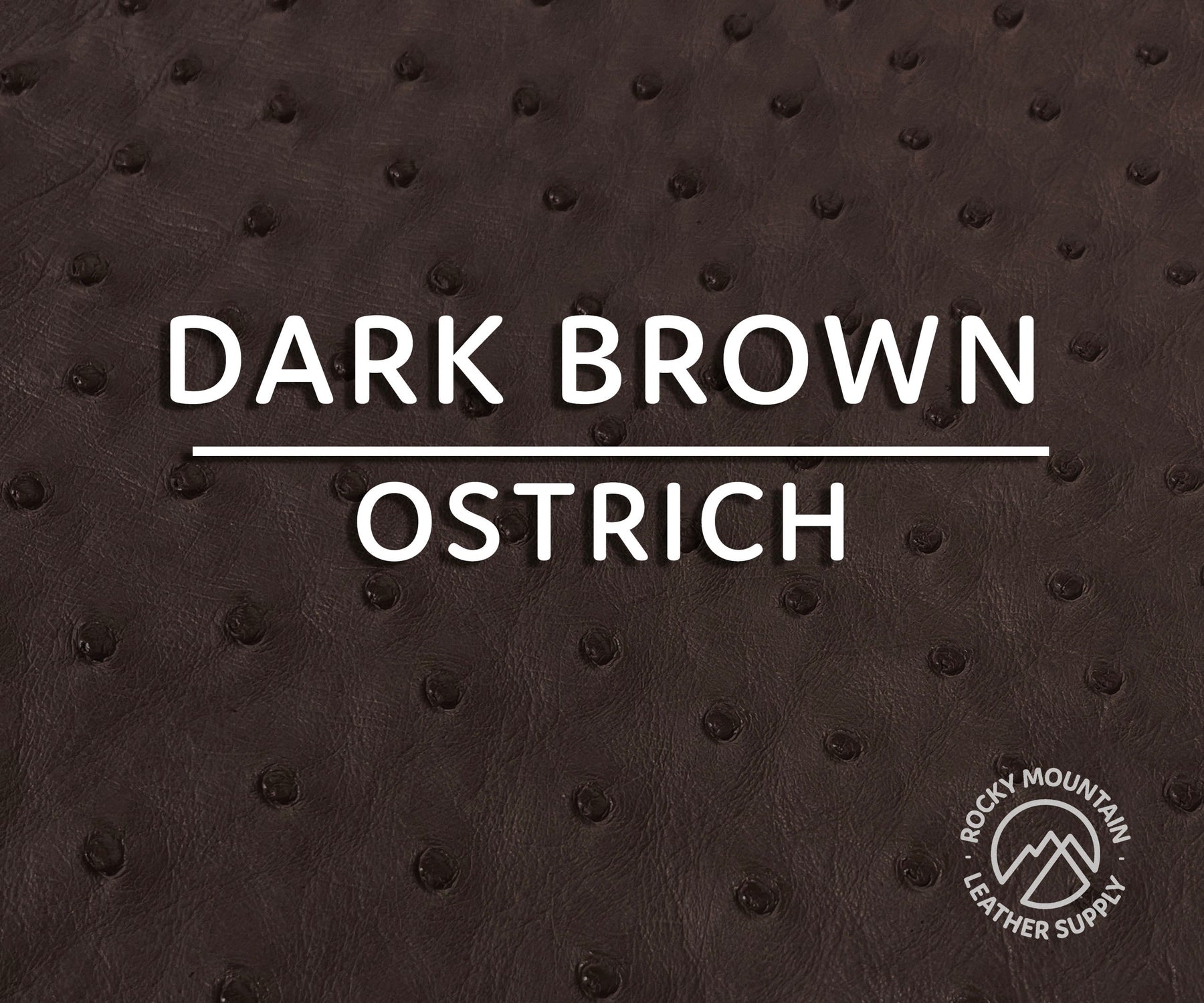 Ostrich Leather Hide, Black SF Color | exoticleathersbyray