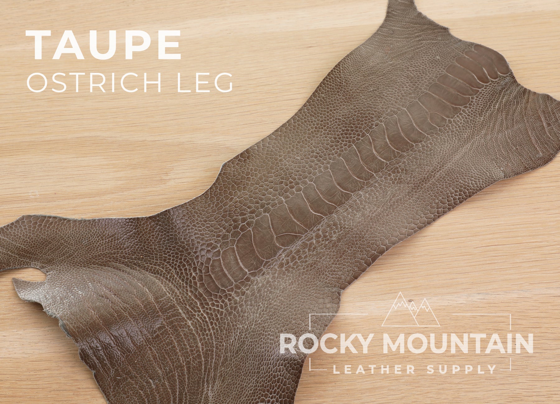 Ostrich - Matte - Luxury Exotic Leather (Hides)
